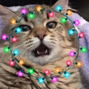 Meet your Posher, Anita